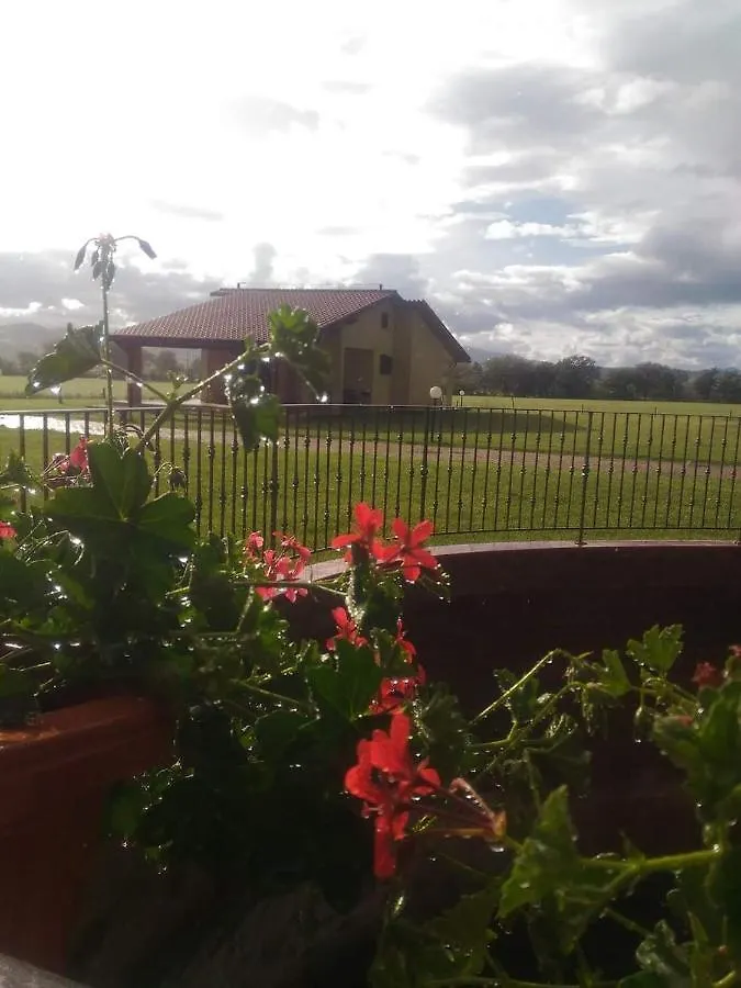 Agriturismo Oasi Del Pianettino contacts
