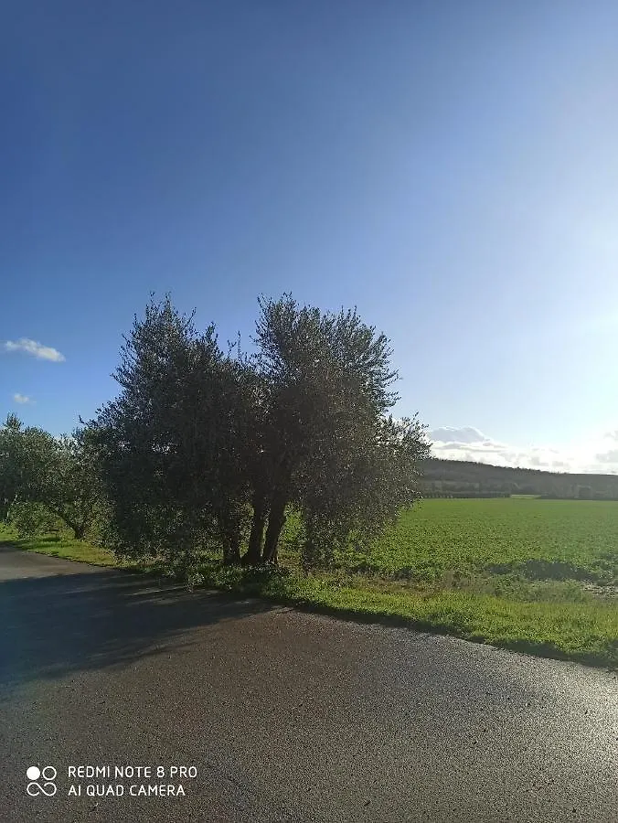Agriturismo Oasi Del Pianettino Campagnatico Italy