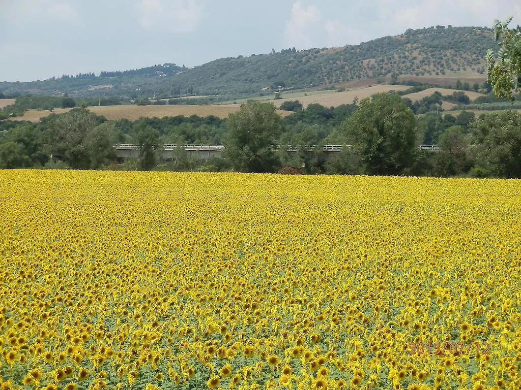 Agriturismo Oasi Del Pianettino Campagnatico